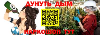 крисы Краснознаменск
