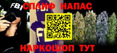 крисы Краснознаменск