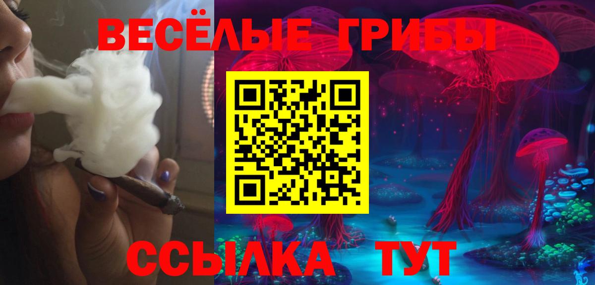 Галлюциногенные грибы MAGIC MUSHROOMS  Вход с VPN  Иваново  Галлюциногенные грибы мухоморы 